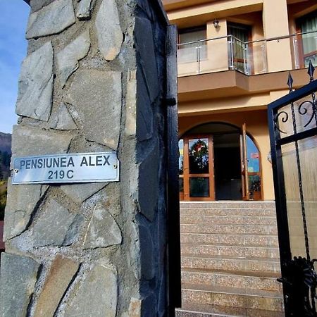 Pensiunea Alex Cheia  Ngoại thất bức ảnh